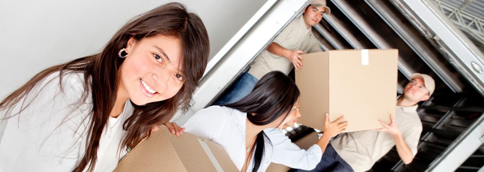 Professional Removalists Chermside